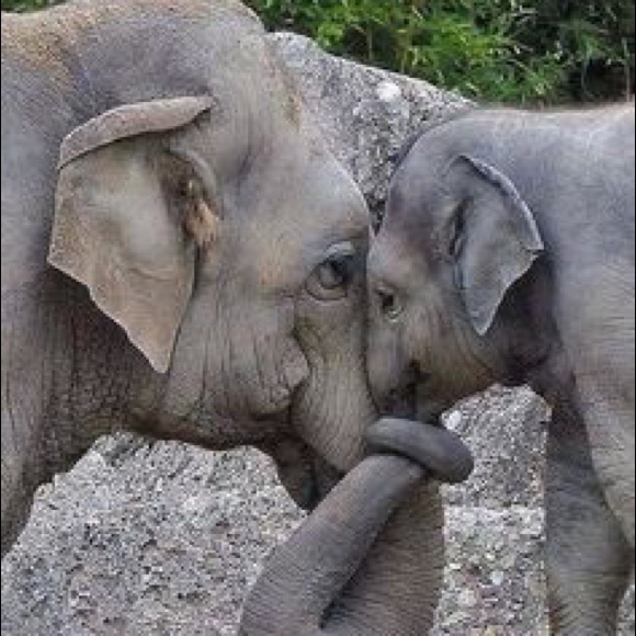 Other - Bundle Up For a Discount!